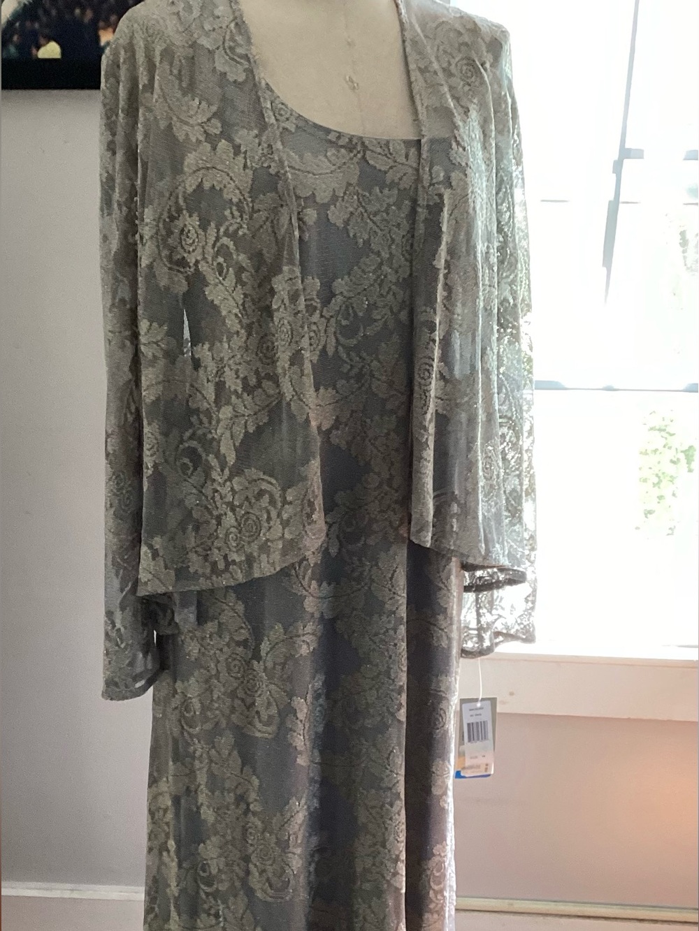 Formal Patra Silver and Cream Lace Evening Dress Label Detail NWT